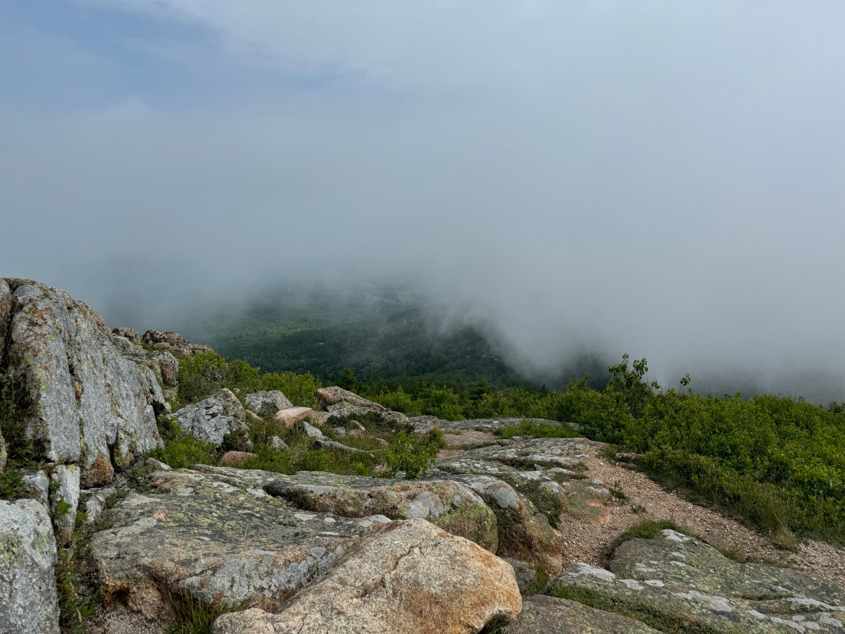 Green Space Is Not a Luxury: Why We Keep Choosing Weekend&nbsp;Trips